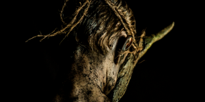Cub