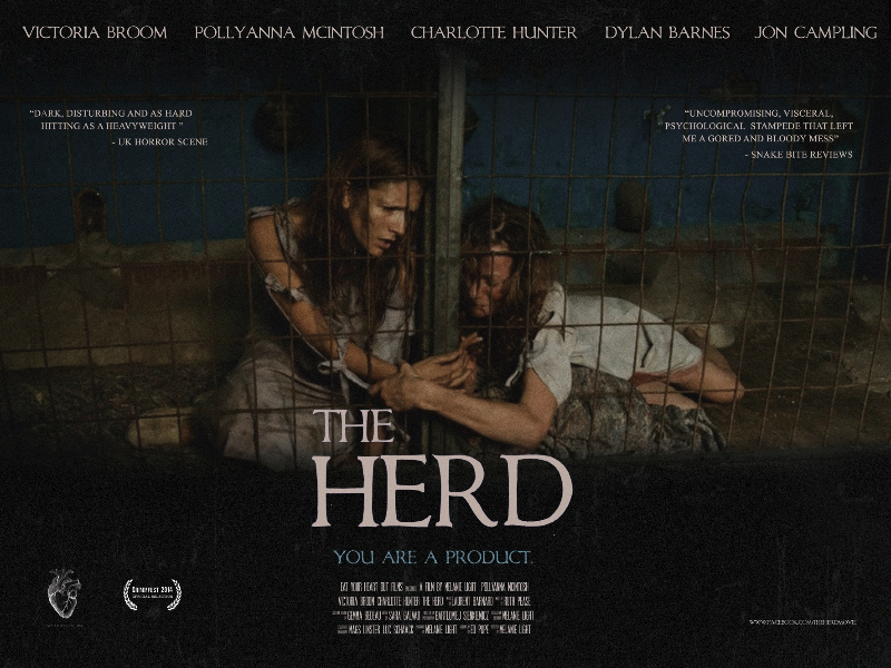 The Herd Melanie Light's The Herd