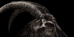 Upcoming Horror